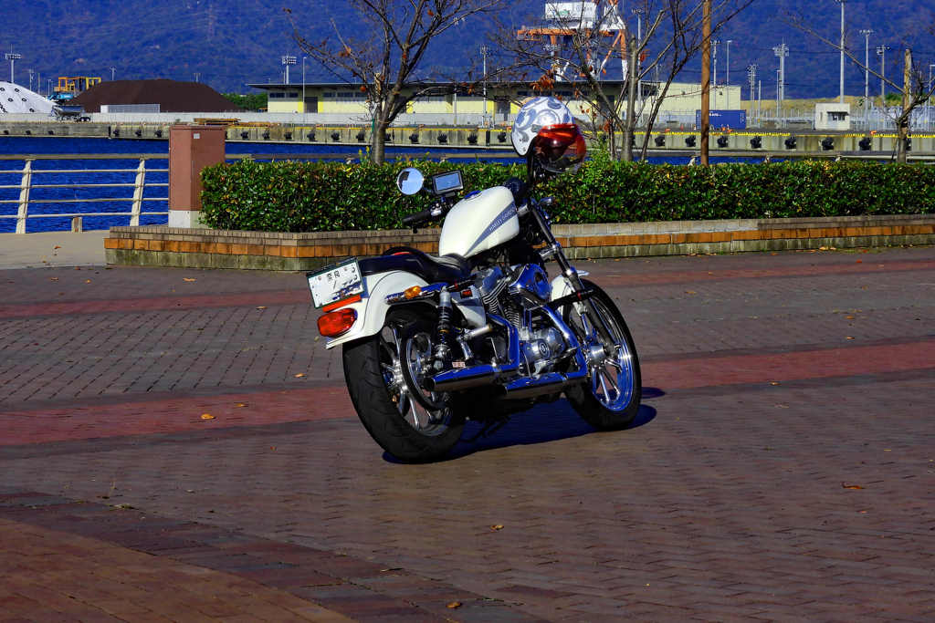 遠くからの訪問者