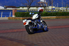 遠くからの訪問者