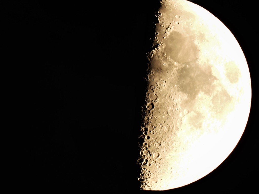 いい三脚欲しい3000ｍｍ