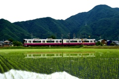 田植えを終えて