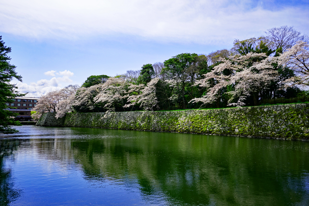 彦根のお堀