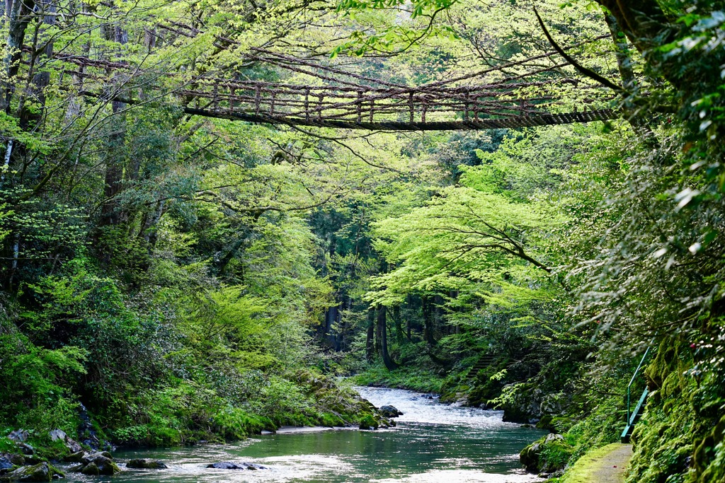 かずら橋と清流