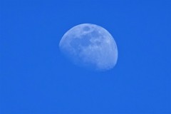 6月4日PM4:45のお月さま