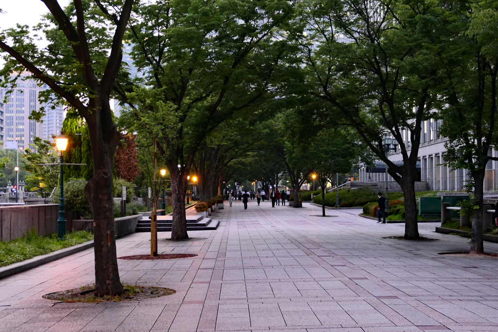 夕暮れ。帰り道