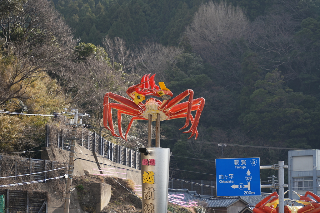 蟹の看板