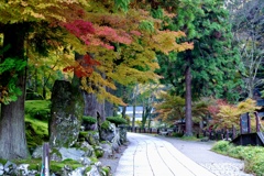 永平寺は見頃となりました