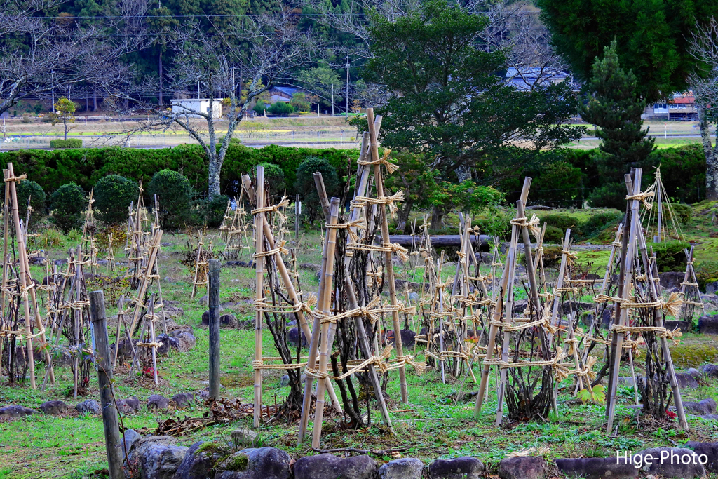 冬支度やなぁ～