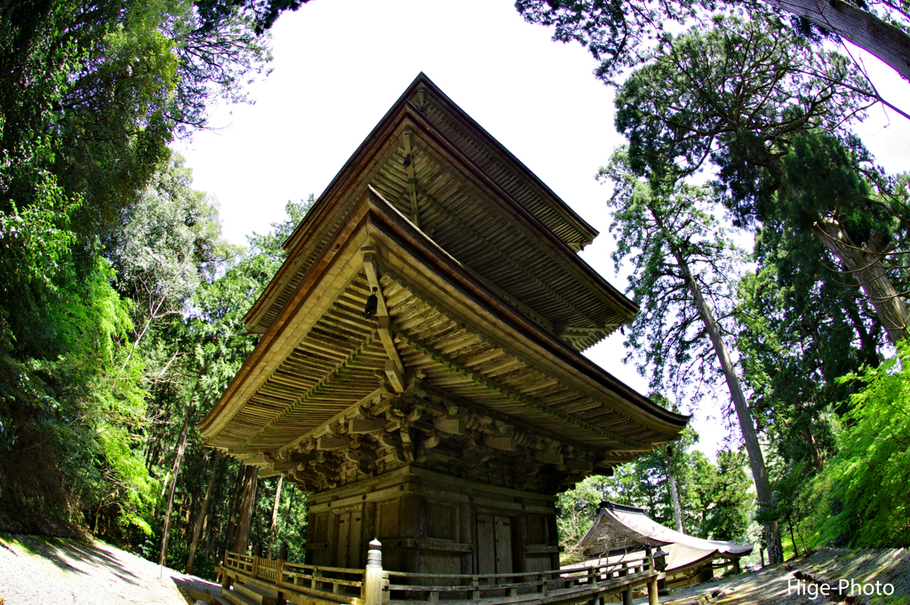 若狭散策8　明通寺・三重塔