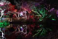 ライトアップⅡ