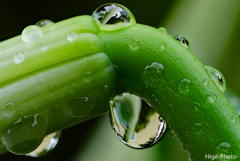 涼しい雨