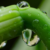 涼しい雨