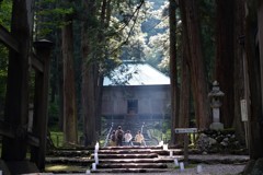 コケの蒸すまで