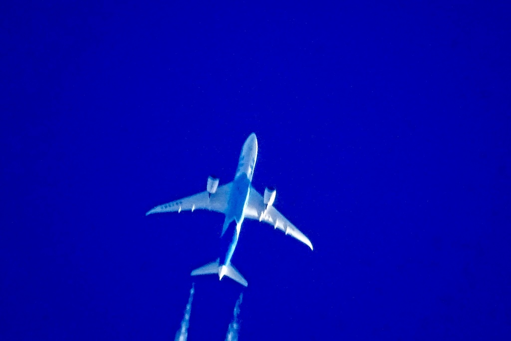 冬の青空に