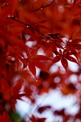 雨が降ってきた