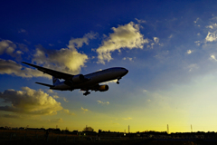 夕暮れJAL