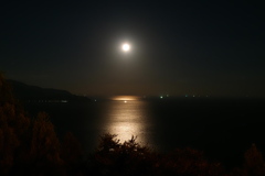 月夜の海