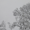一気の雪