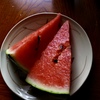 甘さが薄れる季節（8/12T）