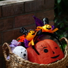 ハロウィンの飾り付け