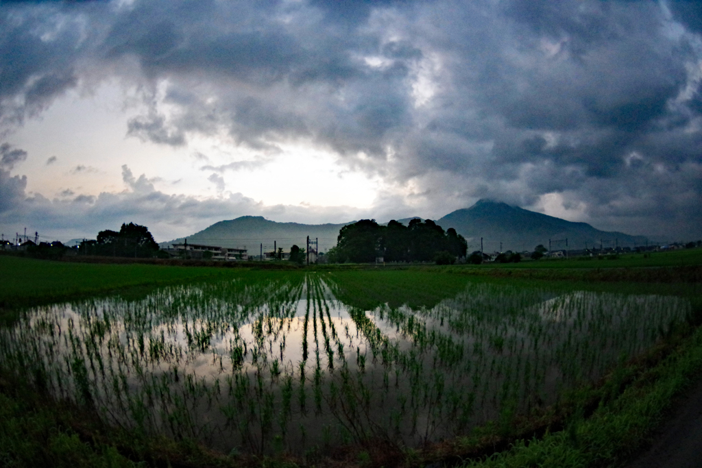 梅雨明けが待ち遠しい