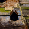 農作業小屋