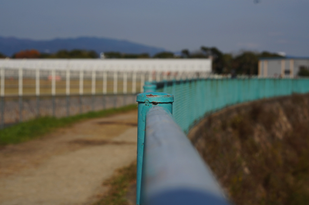 空いてた千里川土手