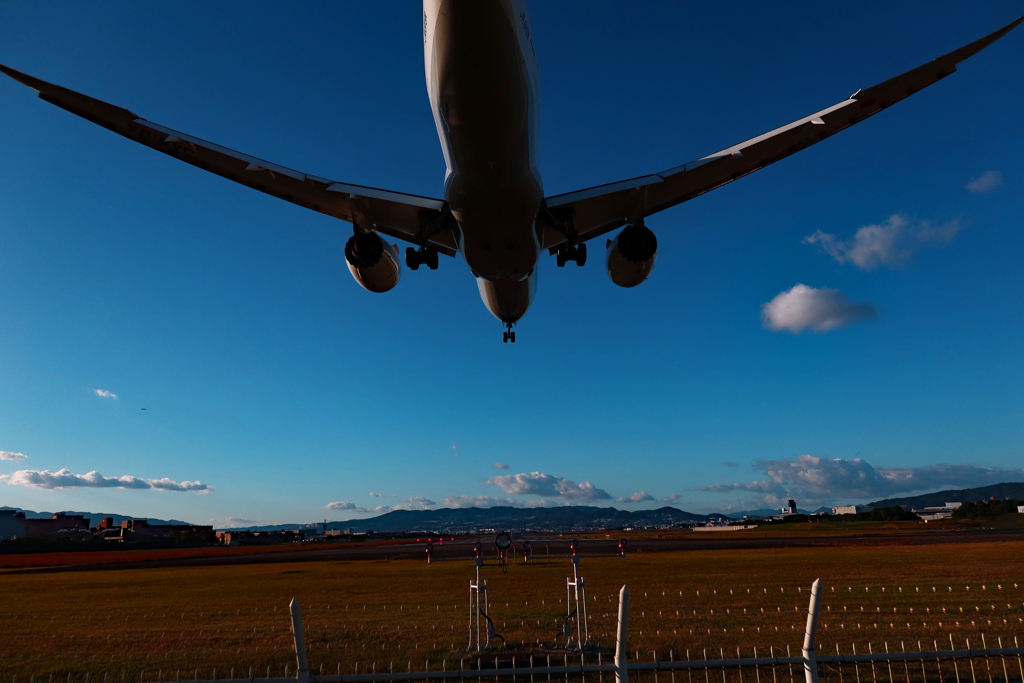 今年もありがとうございました