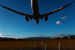 今年もありがとうございました