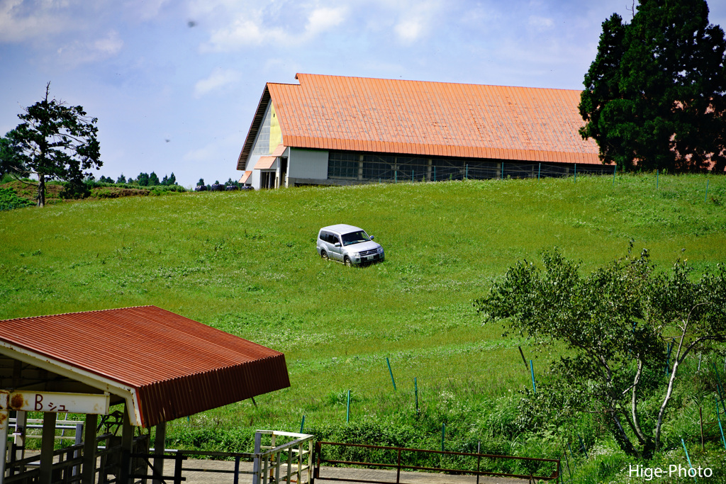 パジェロ。爆走