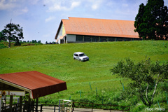 パジェロ。爆走