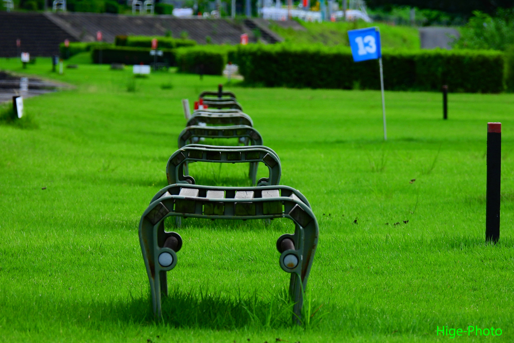 ベンチと芝の緑