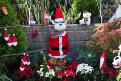 飾り付けはクリスマスに