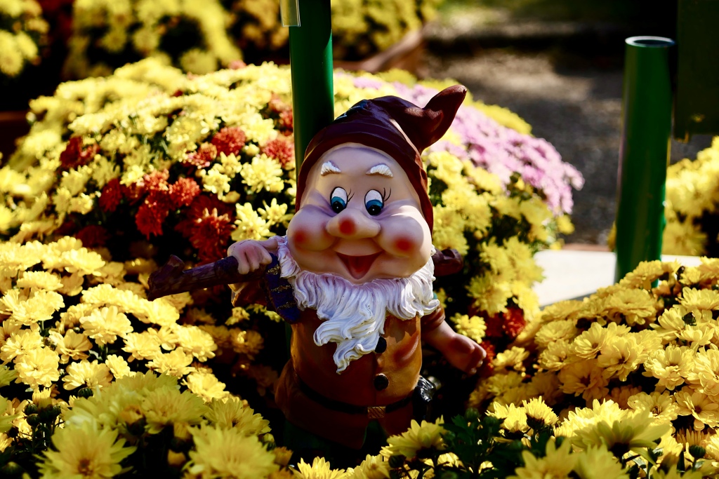 菊人形今年のテーマはDisney