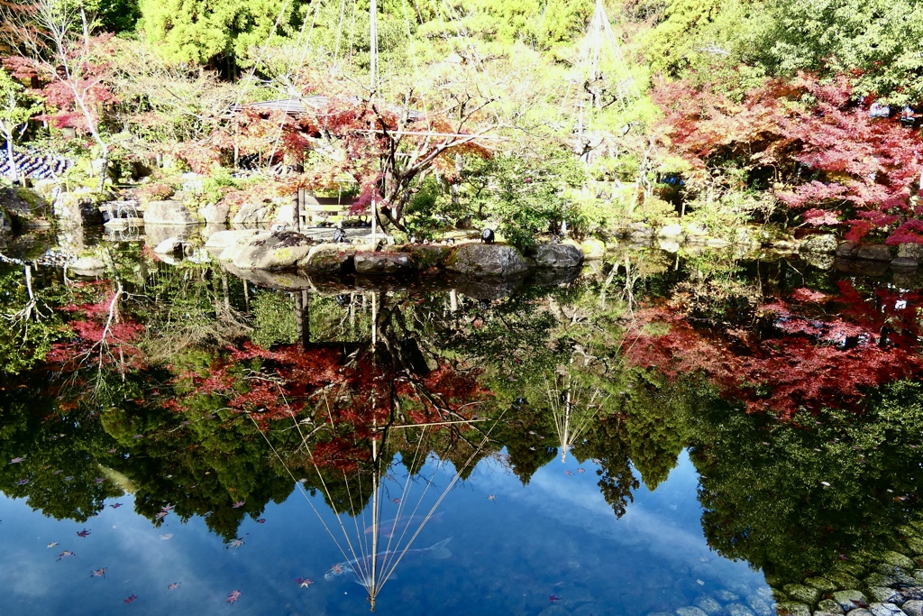 池の紅葉