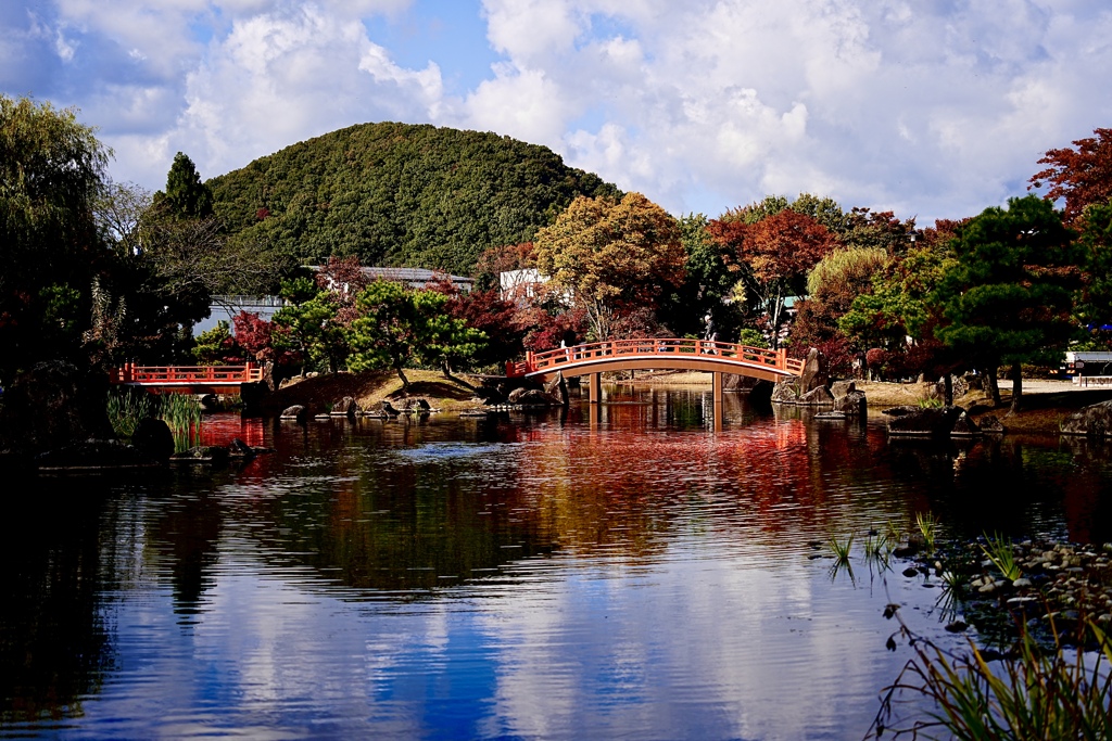 近くの公園