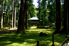 苔寺（4/26T）
