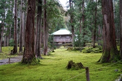 苔寺