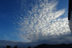 雲も秋っぽく