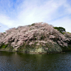 お堀の角っこ