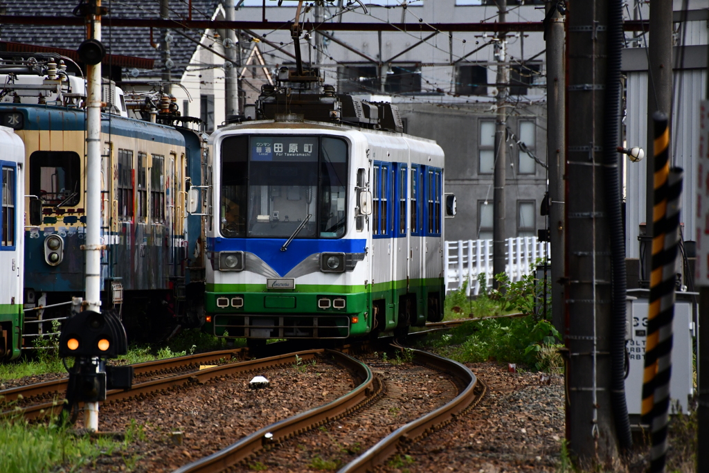 トコトコ走る