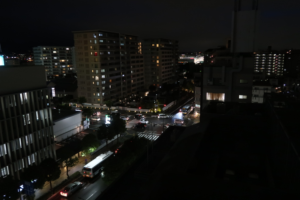 ホテルからの景色