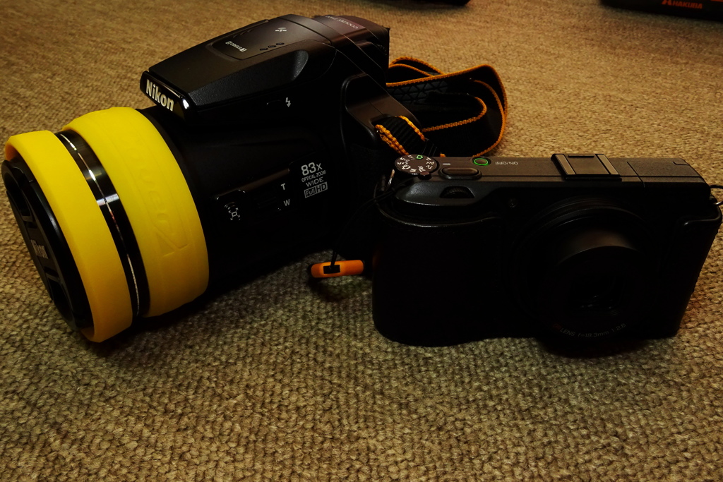 こんな組み合わせも悪くない