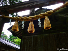 新調