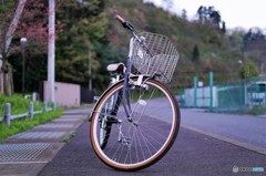 新しいレンズの試し撮り