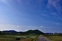 午後の散歩道