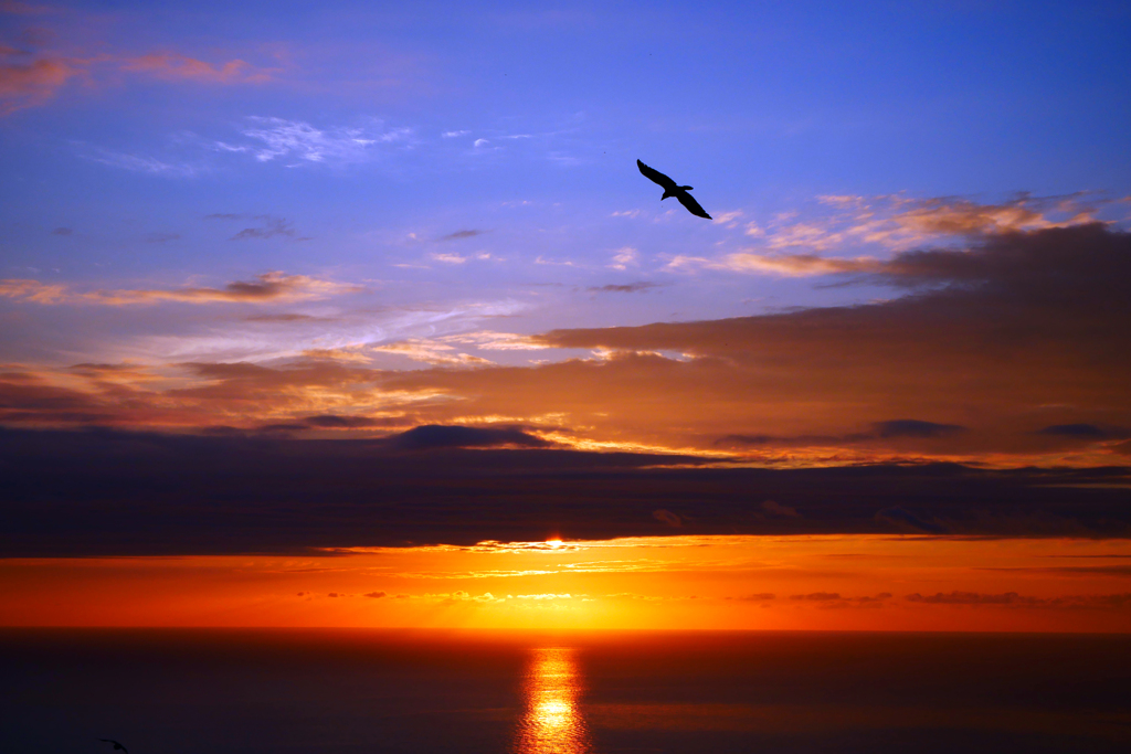 久しぶりの青空