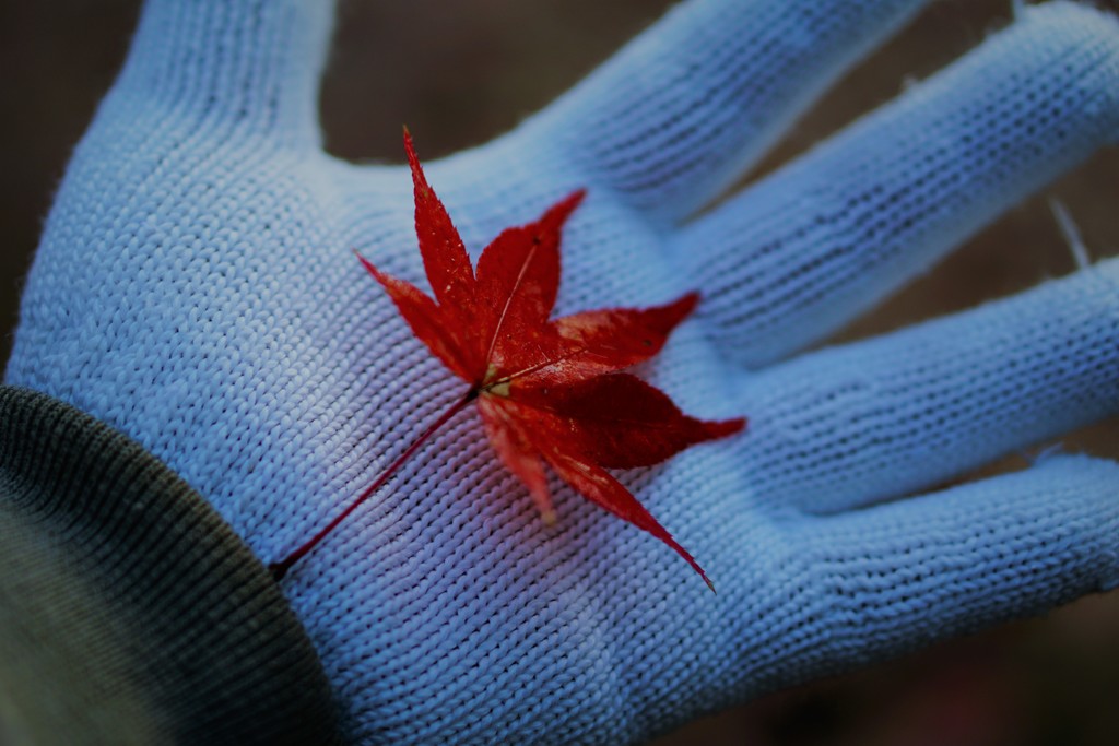 紅く燃えた跡