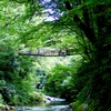 見上げるかずら橋