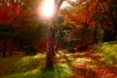 朝陽が差し込み