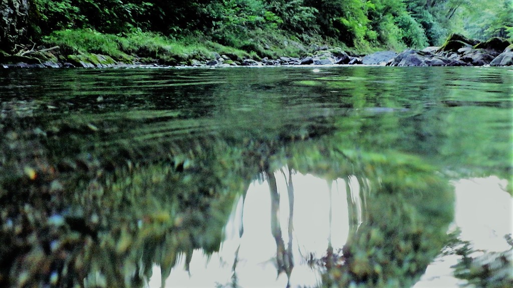 水面